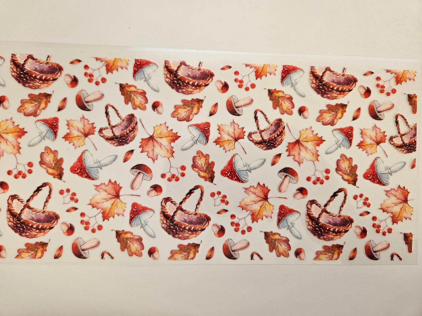 16 oz Wrap Mushroom Baskets