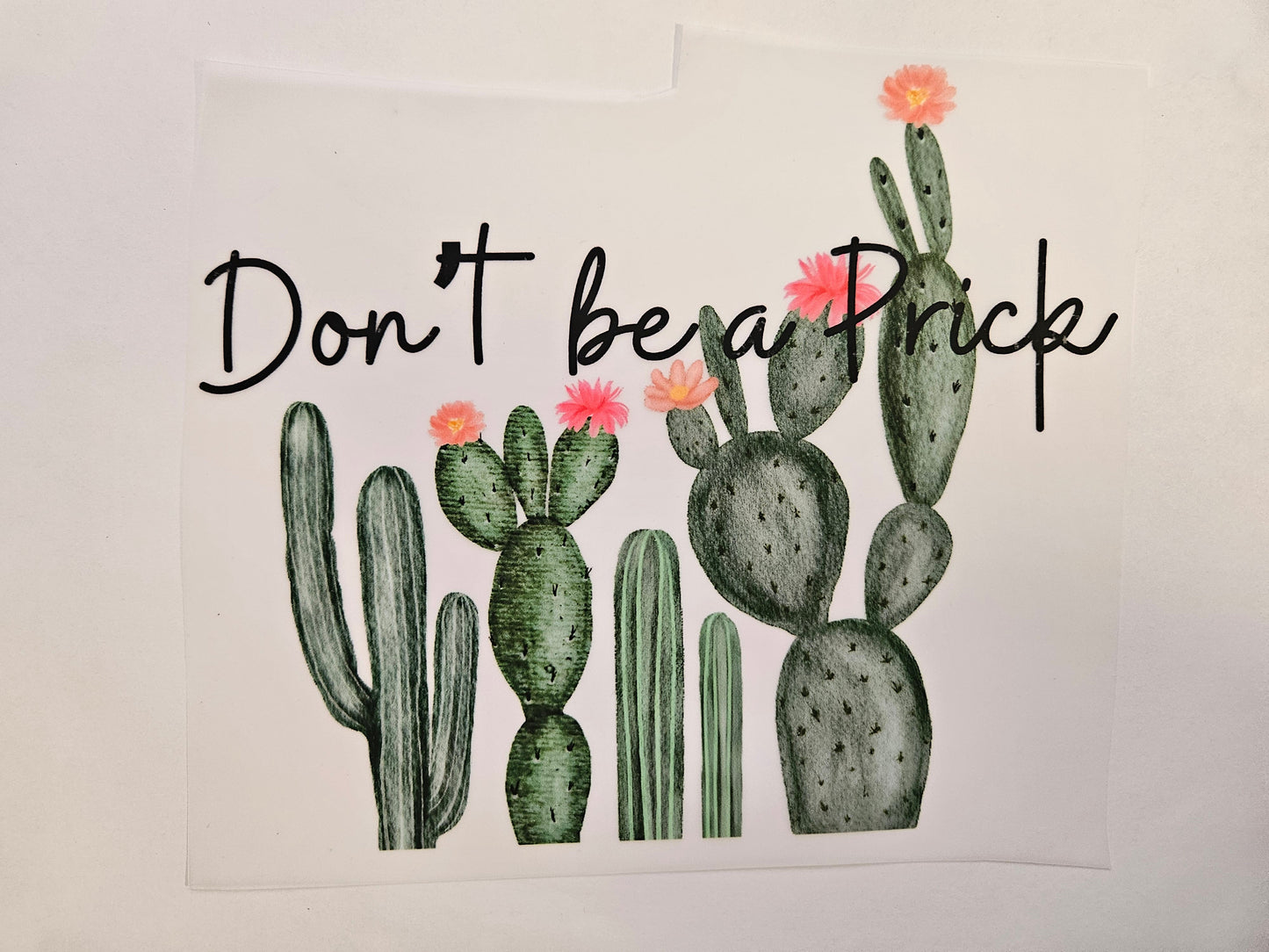 DTF Apparel Don't be a Prick