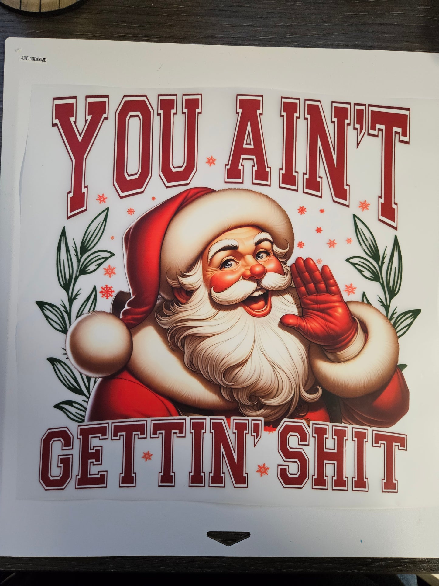 DTF Apparel You Ain't Gettin Shit
