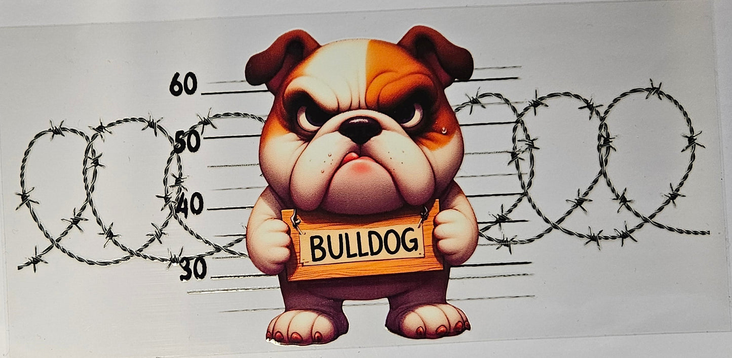 16 oz Wrap Bulldog W/ Barbwire