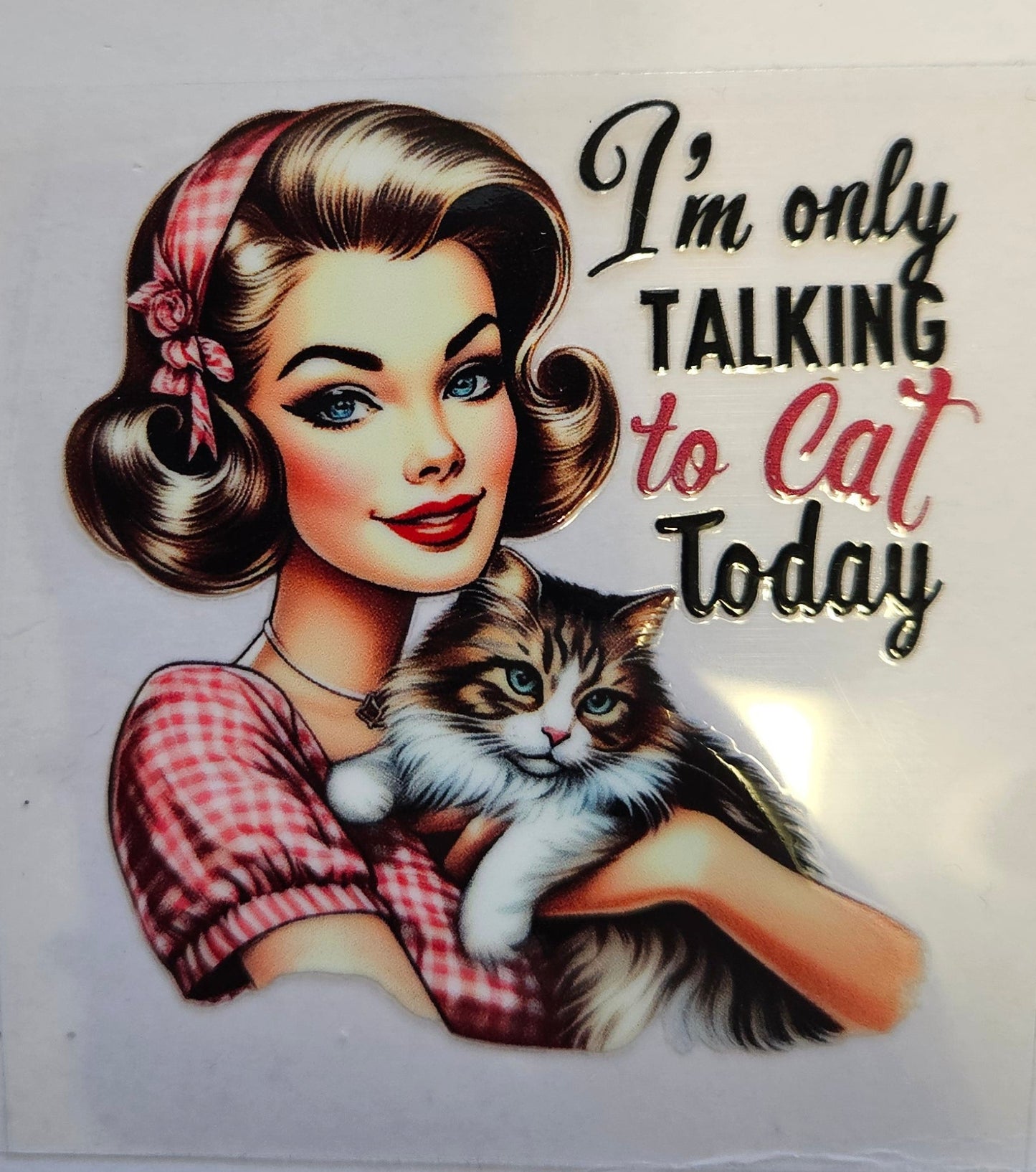 Decal I'm only talking to Cat today