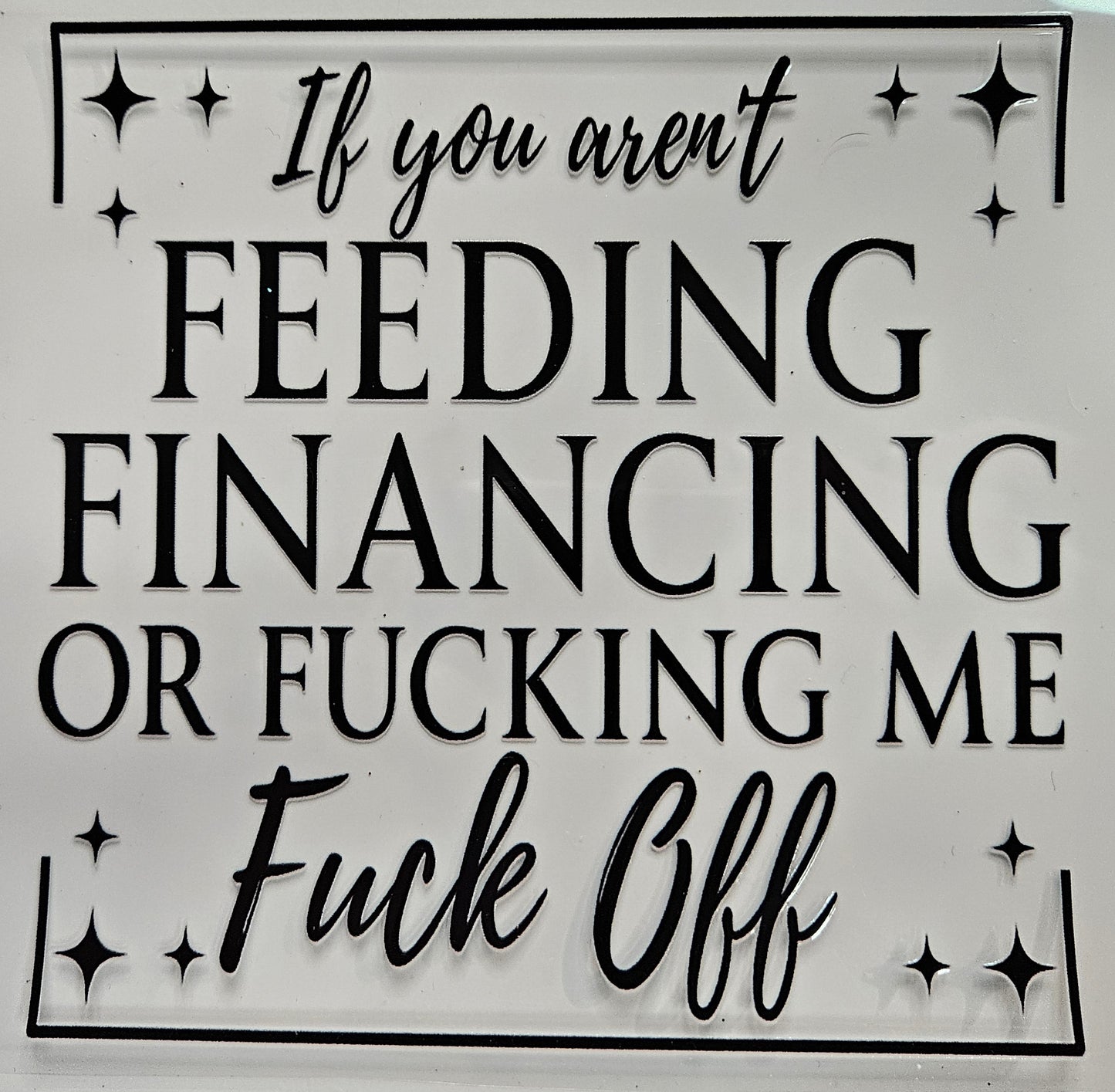 40 oz Decal If your not Feeding, Financing, or Fucking Me