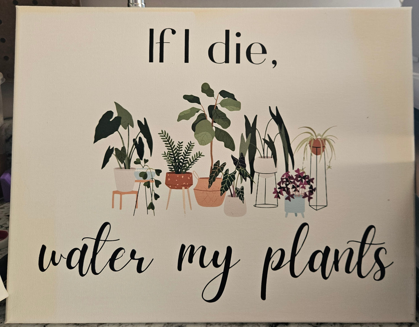 Ready to Ship Canvas