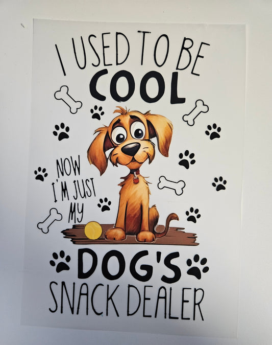 DTF Apparel I used to be Cool, Now I'm just my Dog's Snack Dealer