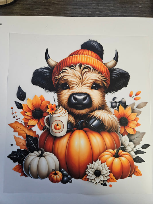 DTF Apparel Orange Cow Pumpkin W/ Coffee
