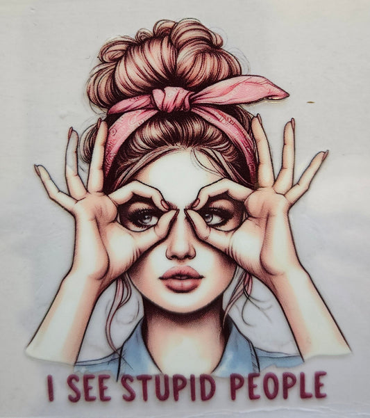 Decal I see Stupid People
