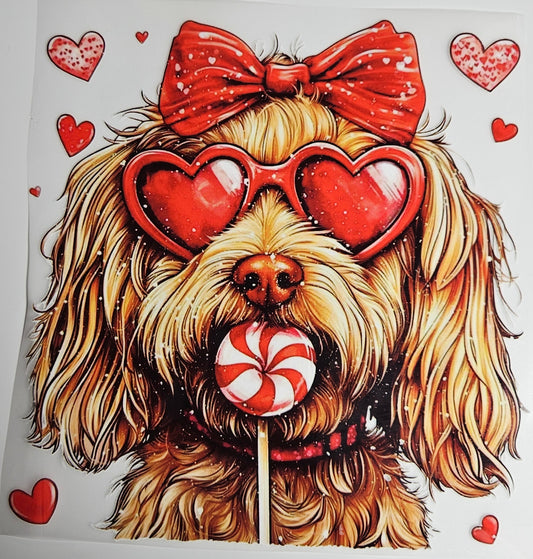 DTF Apparel Goldendoodle Lollipop
