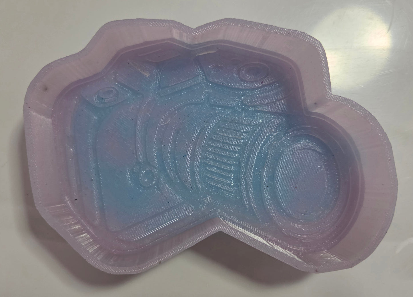 Mold Camera