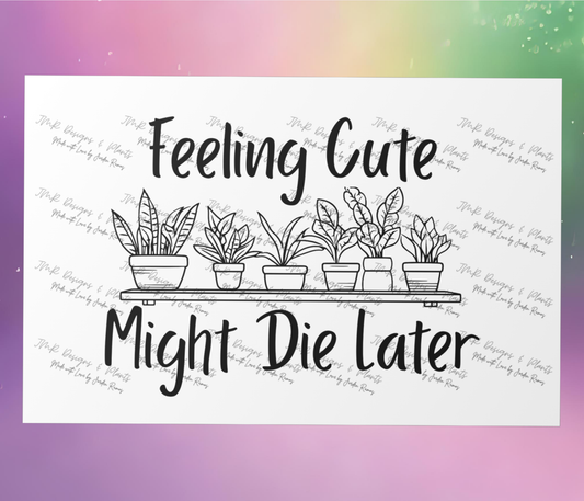 10"X8"/12"X8" Wall Decor Feeling Cute, Might Die Later