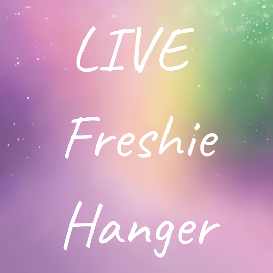 Beaded Freshie Hanger