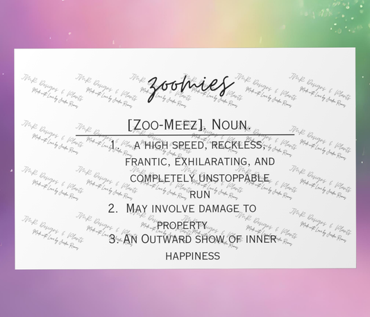 10"X8"/12"X8" Wall Decor Zoomies